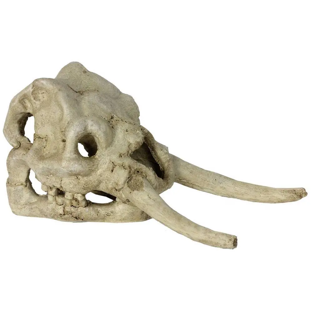 Comparer les prix de Accessoire de terrarium Reptiles Planet Dinosaurus Skull