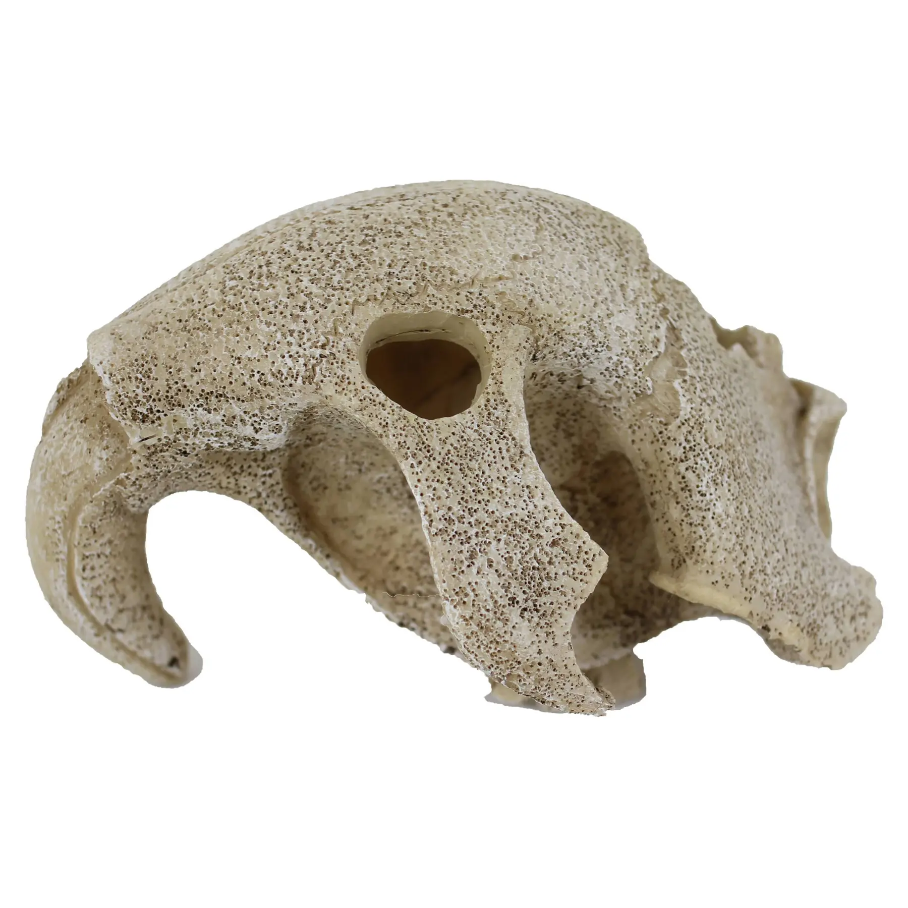 Meilleurs prix pour Accessoire de terrarium Reptiles Planet Bird Skull