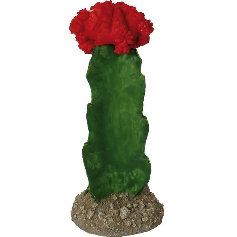 Meilleurs prix pour Accessoire de terrarium Reptiles Planet Red Maids Cactus