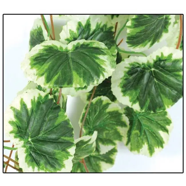 Comparer les prix de Accessoire de terrarium Reptiles Planet Congo Jungle Vine