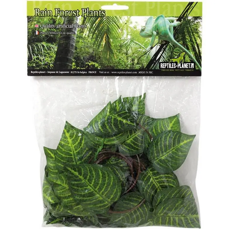 Meilleurs prix pour Accessoire de terrarium Reptiles Planet Cruise Jungle Vine