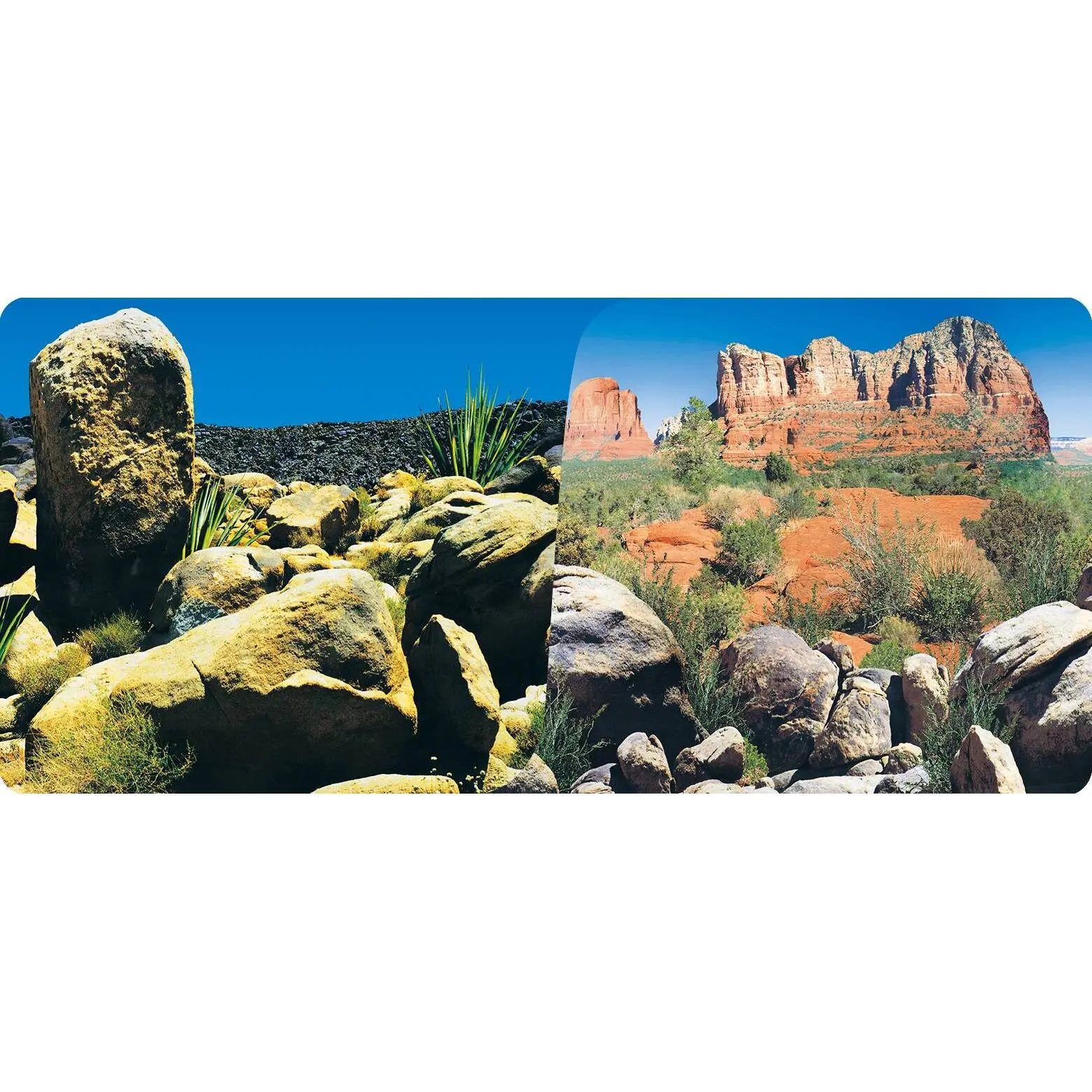 Meilleurs prix pour Poster Desert 2 faces 1 rouleau de 15 mètres hauteur 30 cm Reptiles Planet Desert Terrarium