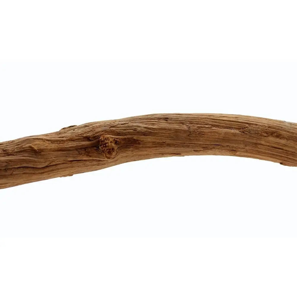 Comparer les prix de Accessoire de terrarium liane de la jungle small Reptiles Planet