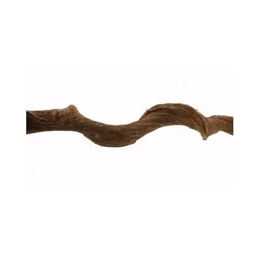 Comparer les prix de Accessoire pour aquarium Reptiles Planet Premium Vine Sambawa