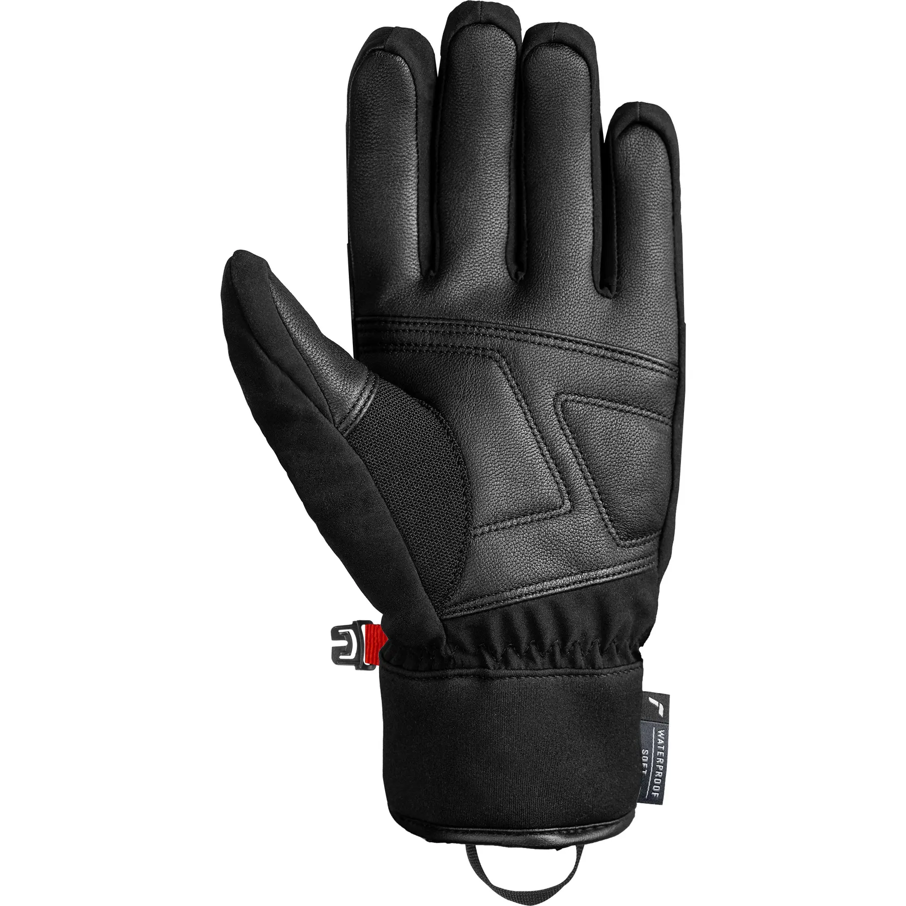 Skihandschuhe Reusch Ski Thunder R-TEX® XT