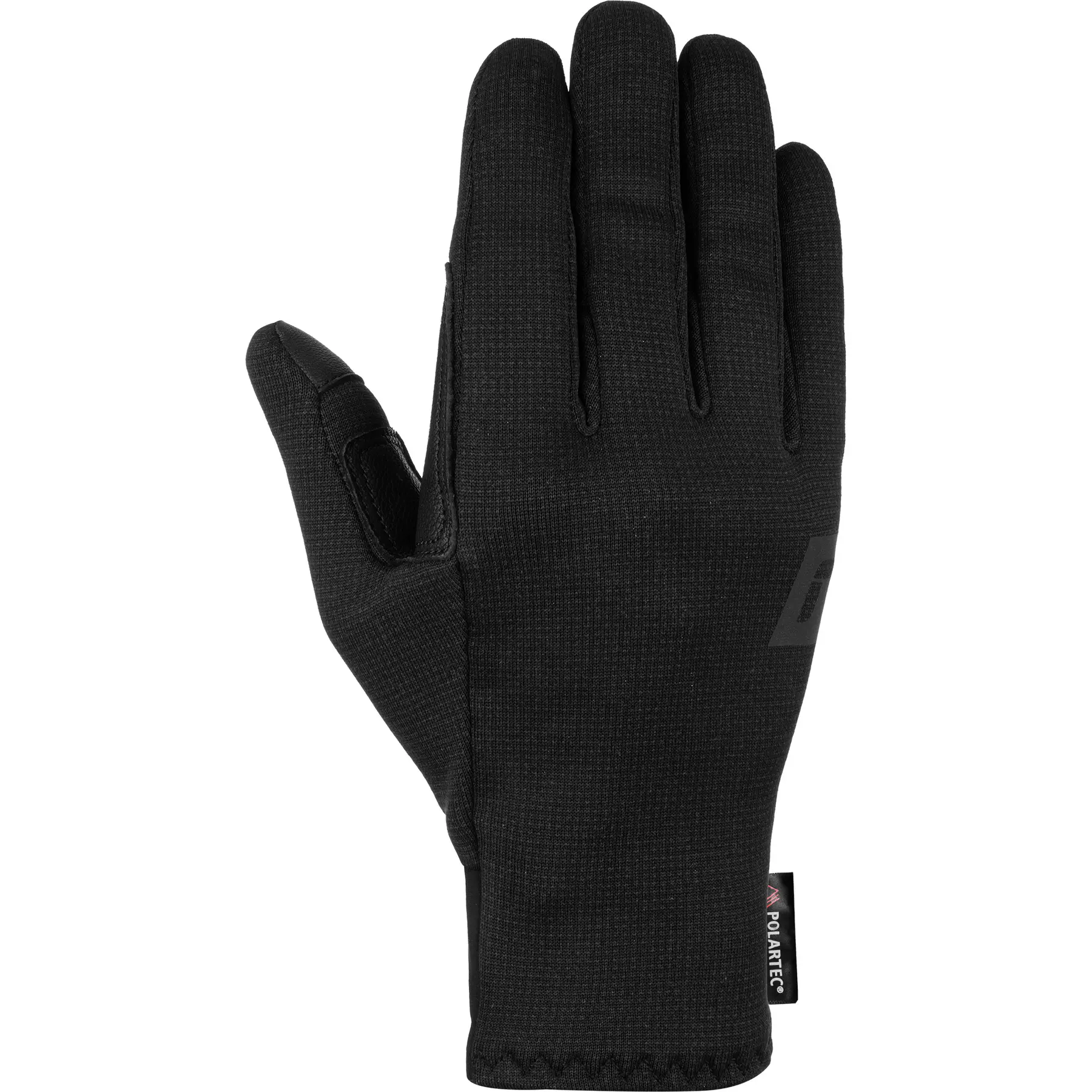 Skihandschuhe Reusch Nanuq POLARTEC® HF PRO