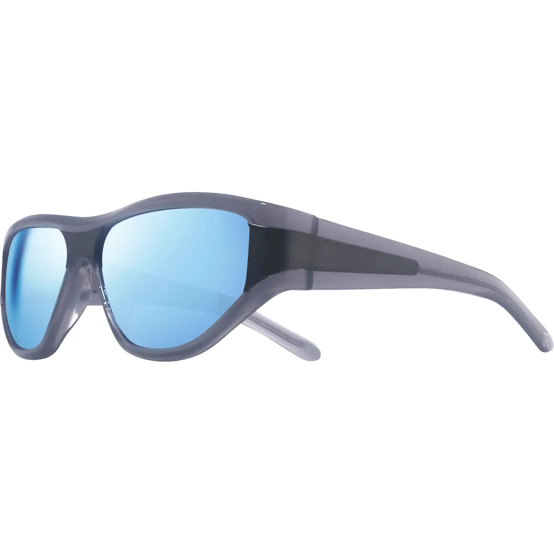 Sunglasses Revo Legacy