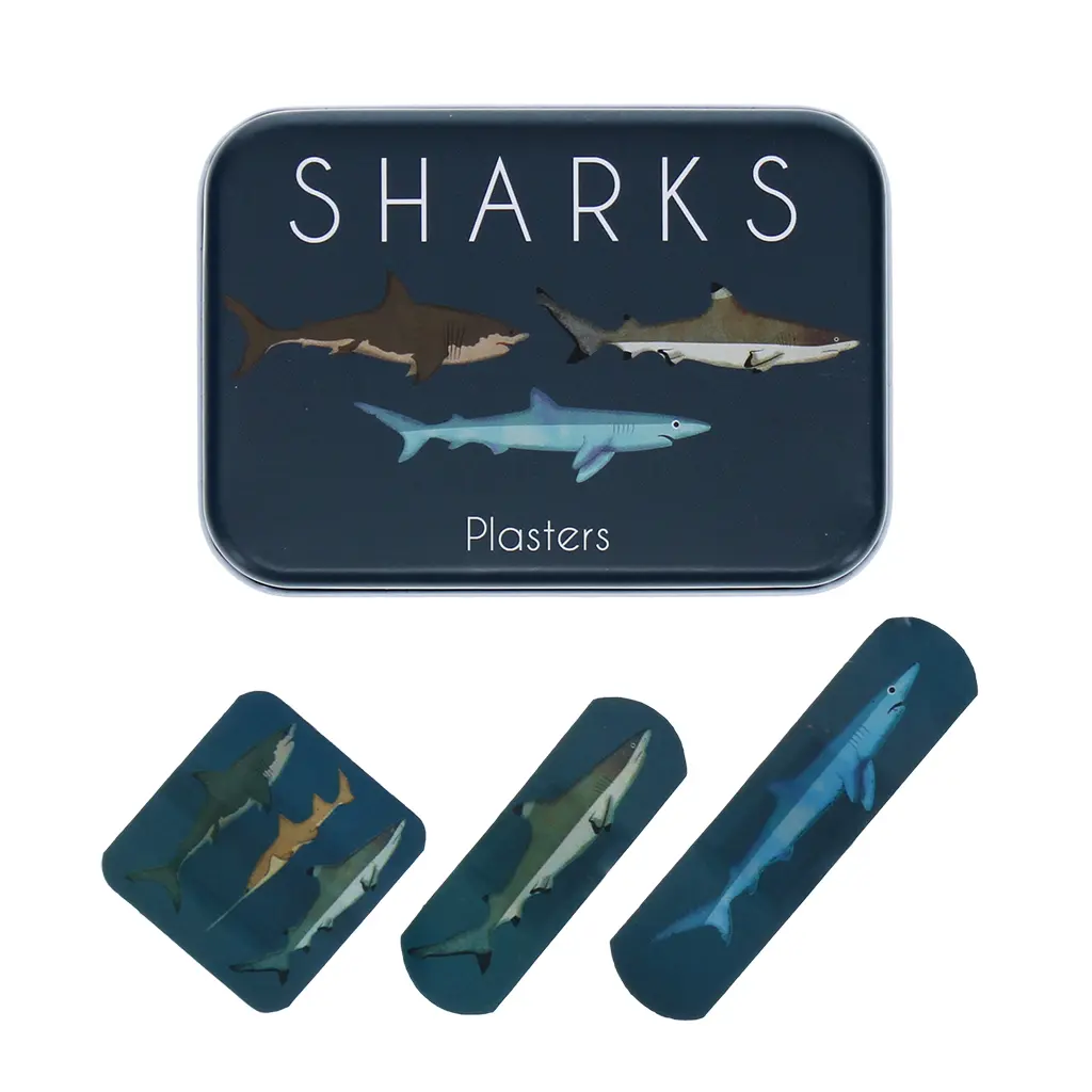 Rex London Bleu Children's Bandage Sharks (X30)