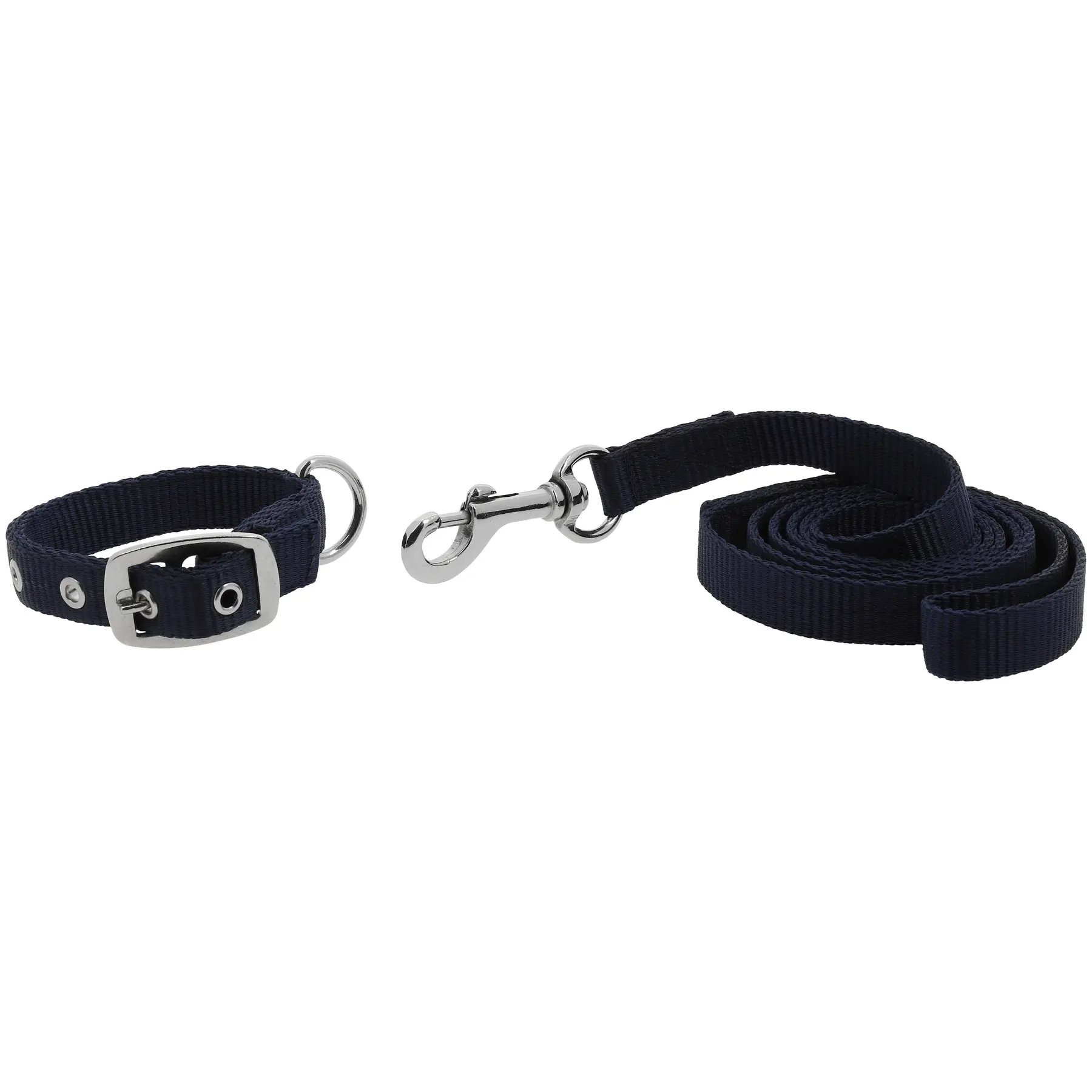 Riding World Bleu Dog Collar And Leash Oscar