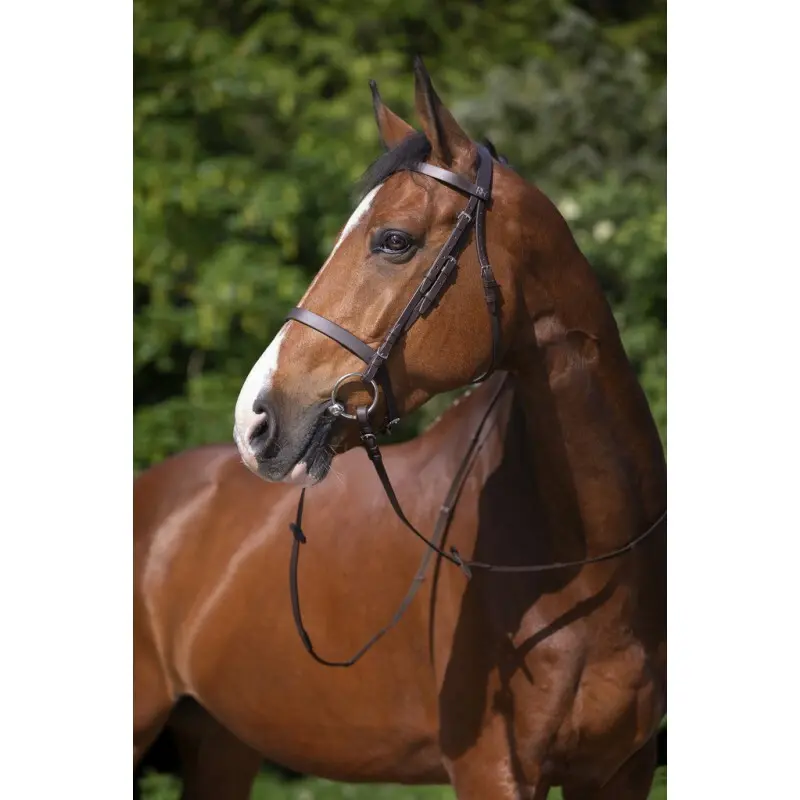 Zaumzeug Reiten Riding World Muserolle Française