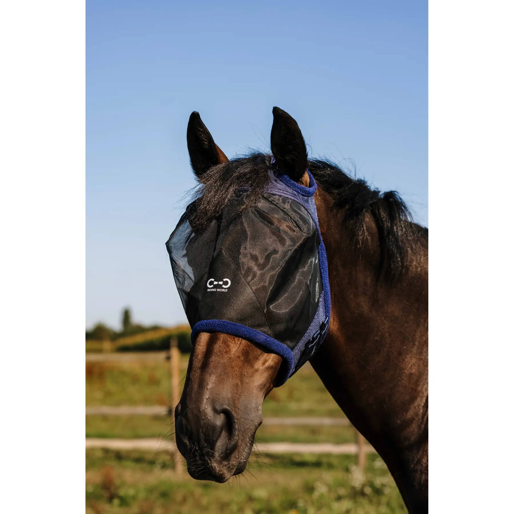 Masque anti-mouches pour cheval sans oreilles Riding World First