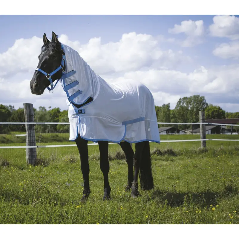 Meilleurs prix pour Chemise pour cheval Riding World Combo