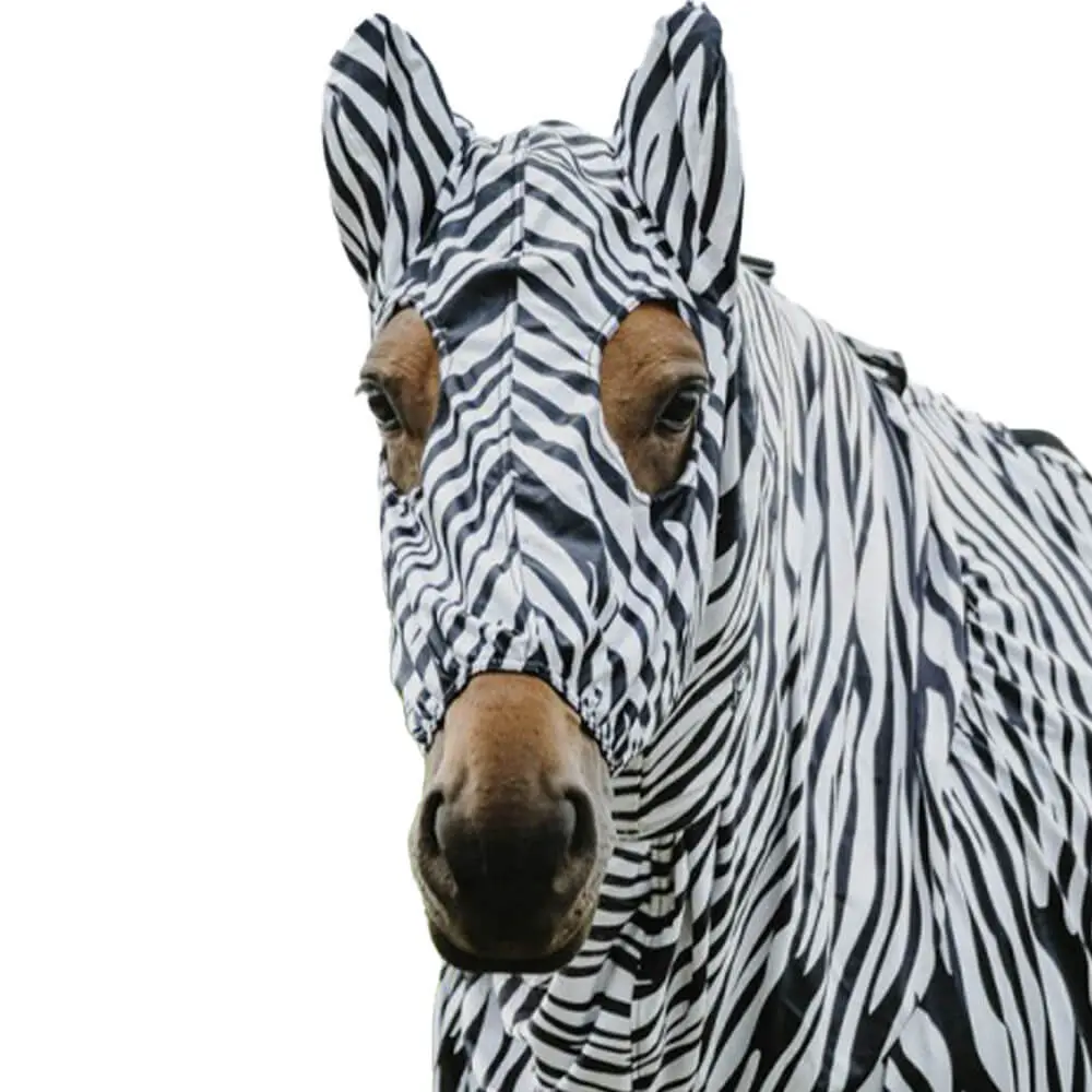 Meilleurs prix pour Bonnet anti-mouches et anti-eczéma pour cheval Riding World