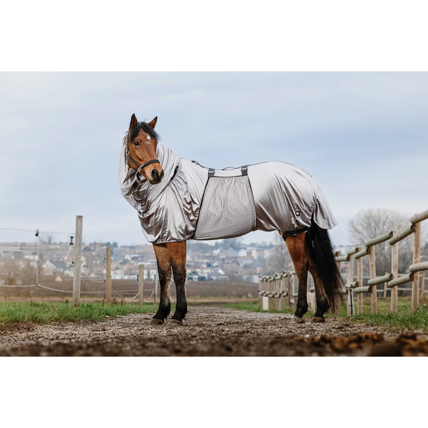 Chemise anti-eczéma pour cheval Riding World