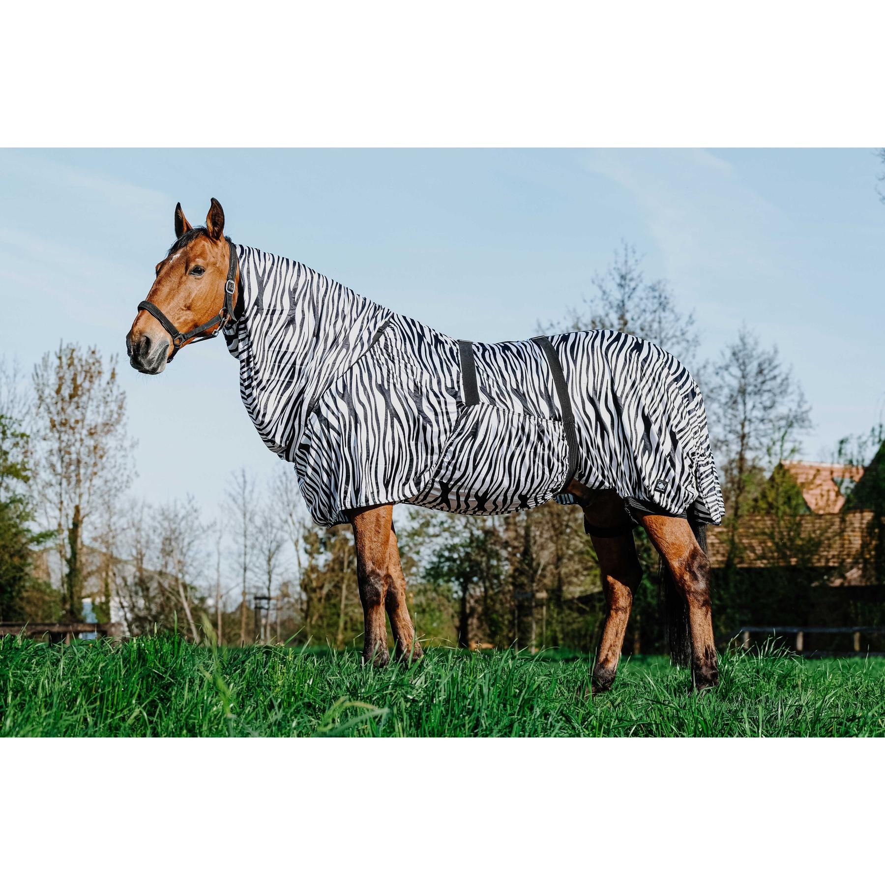 product/r/i/riding-world_400708043_zebre_1.jpg