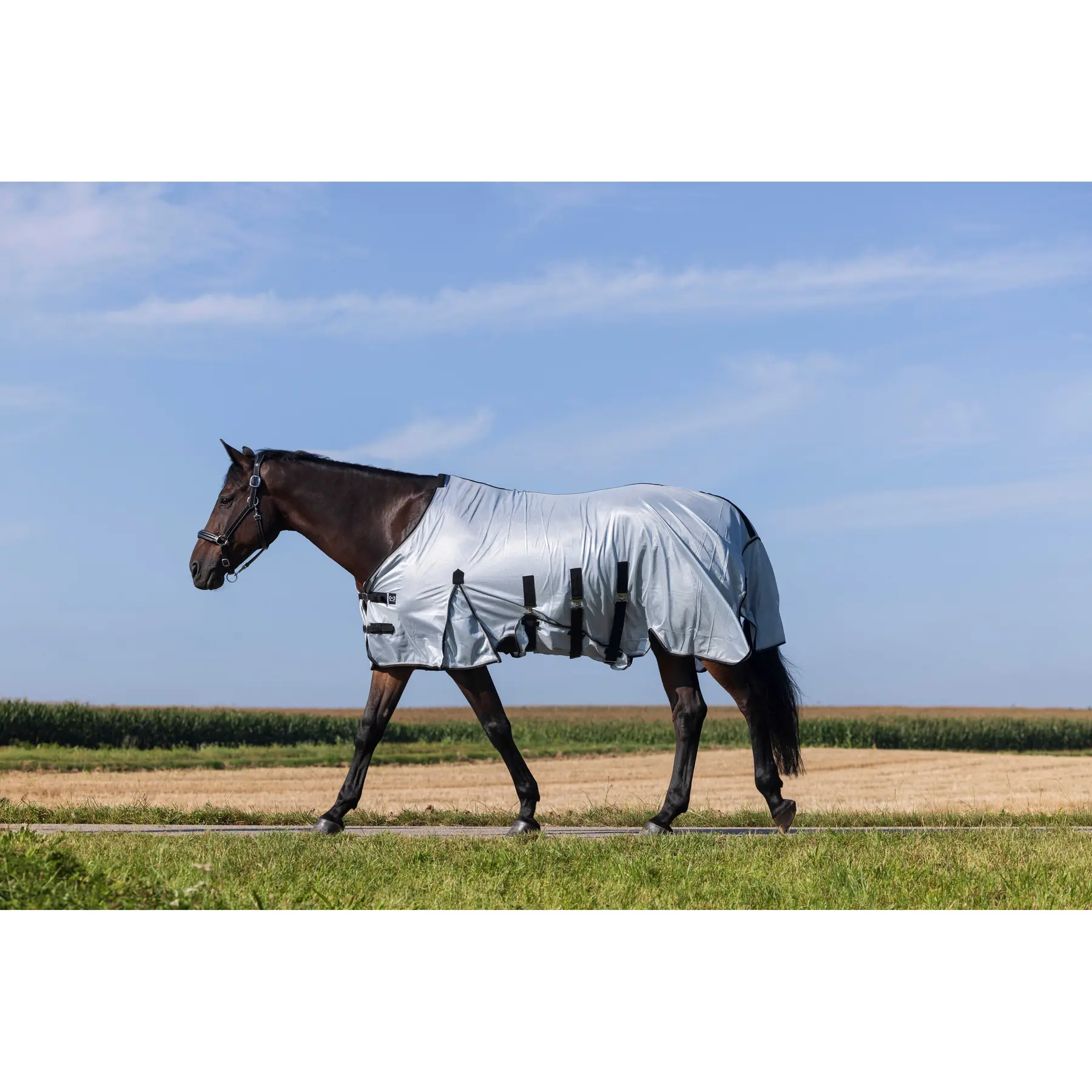 Riding World Gris Shirt For Horse Belly Mesh