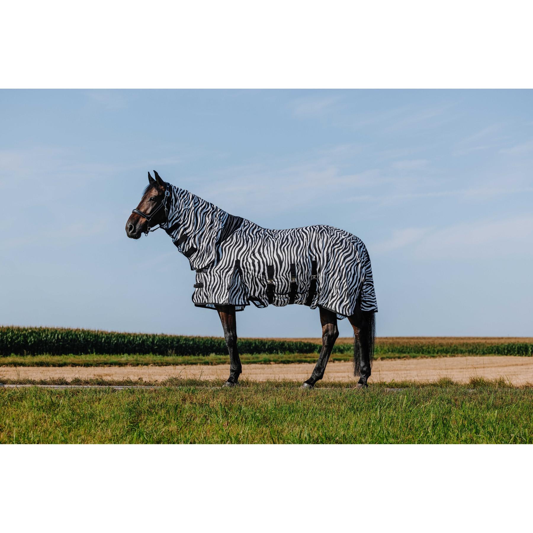 product/r/i/riding-world_400726056_zebre_2.jpg