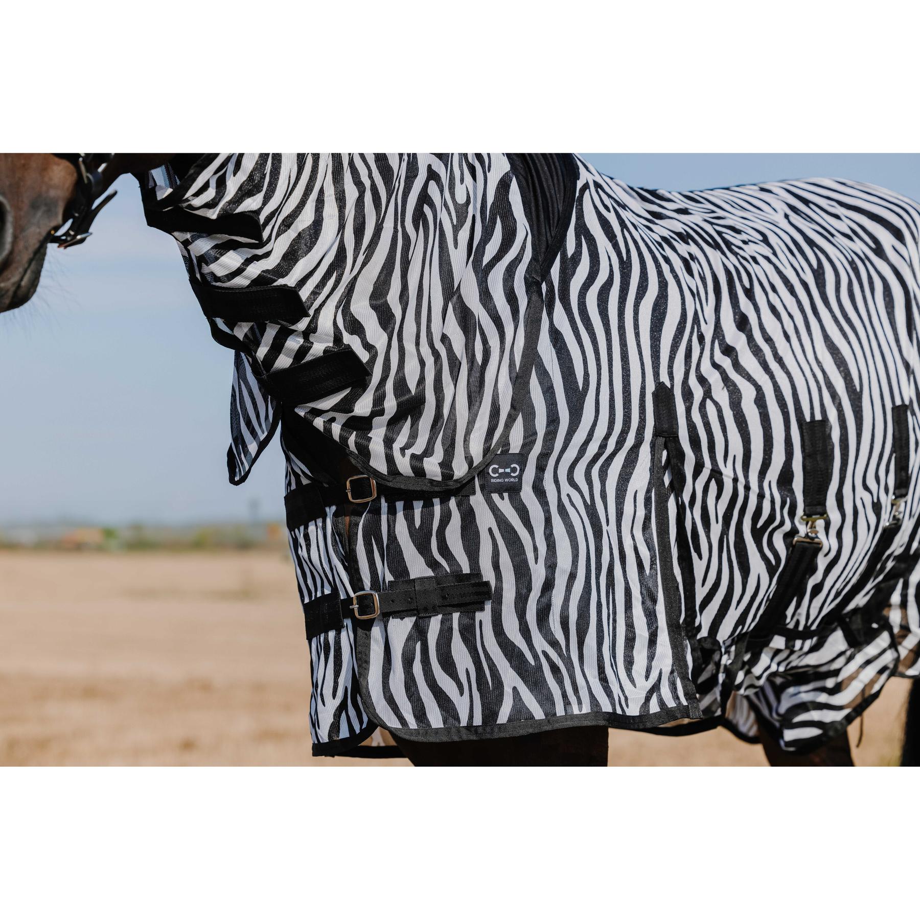 product/r/i/riding-world_400726056_zebre_5.jpg