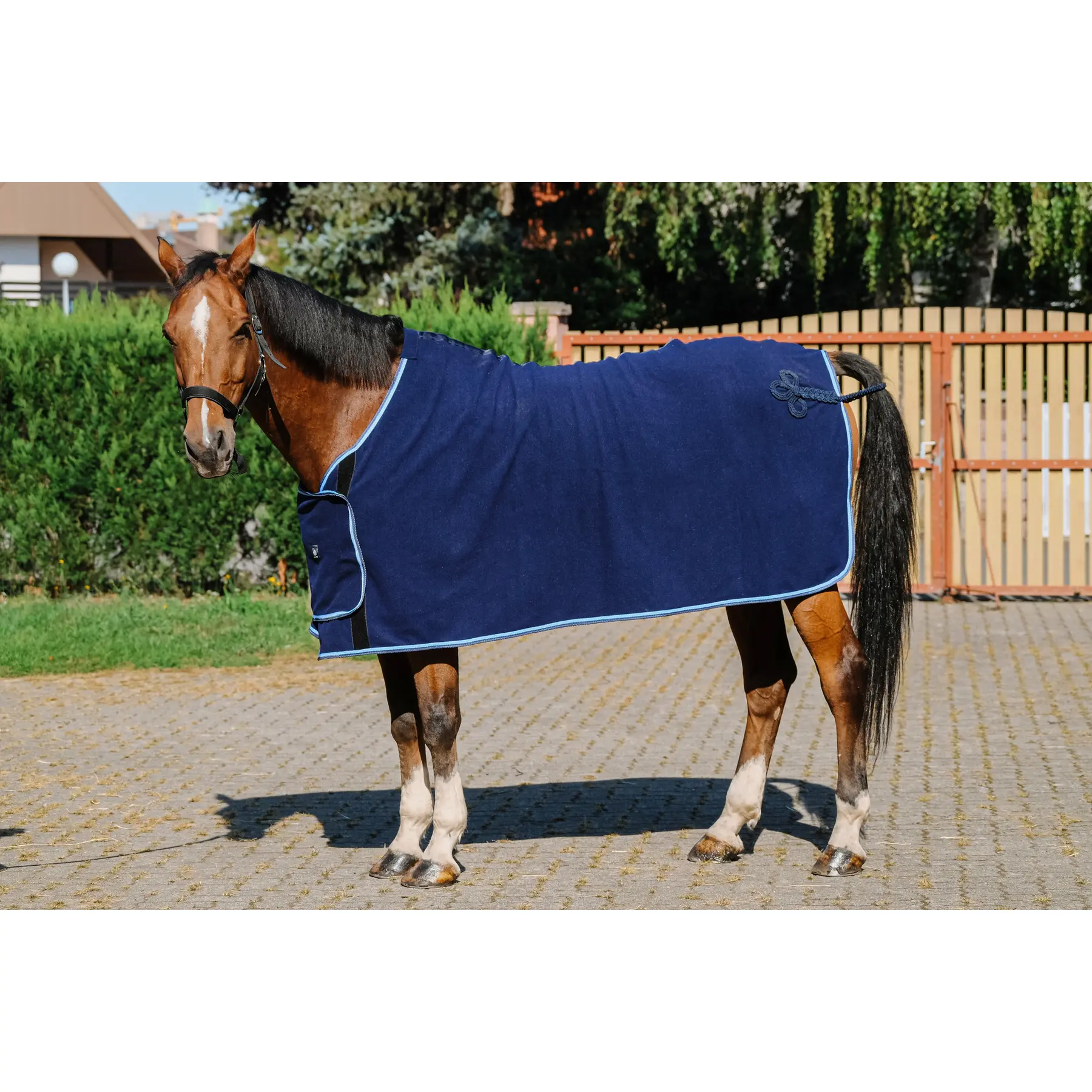 Fleecedecke als Präsentationsdecke für Pferde Riding World