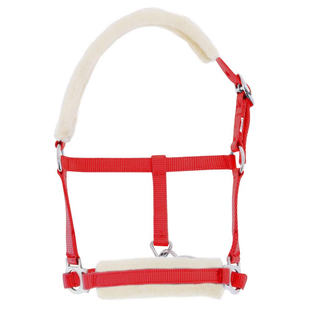product/r/i/riding-world_510_022_003.jpg