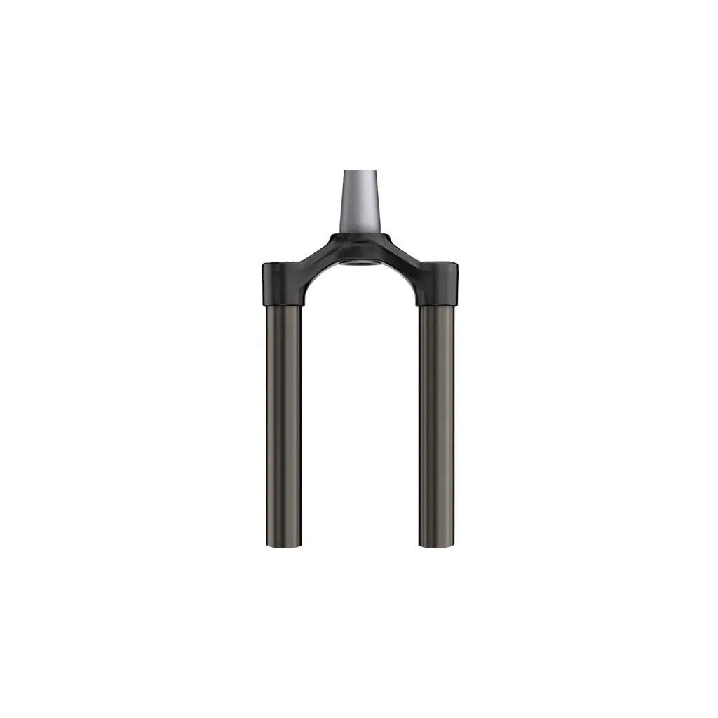 Gabel Rockshox Te/Plongeurs - Revelation (2018