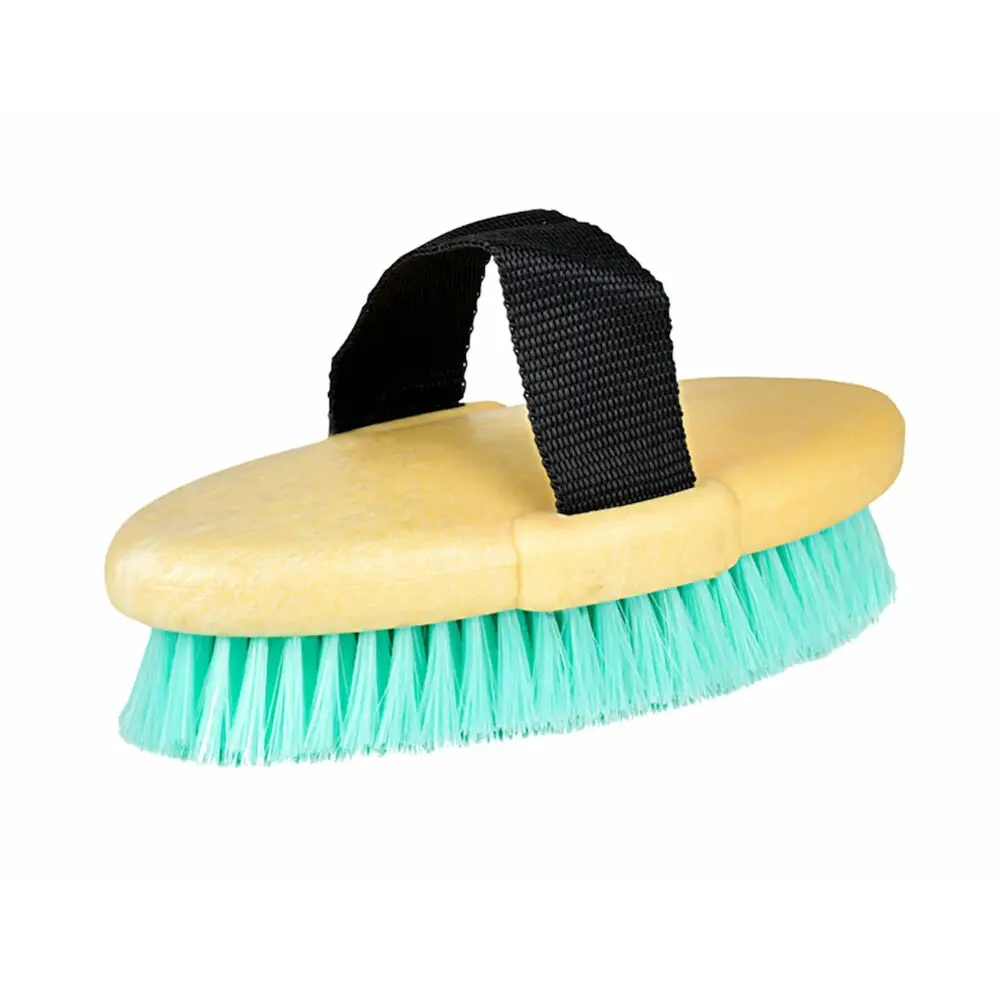 Meilleurs prix pour Brosse d'équitation corporelle Roma Brights