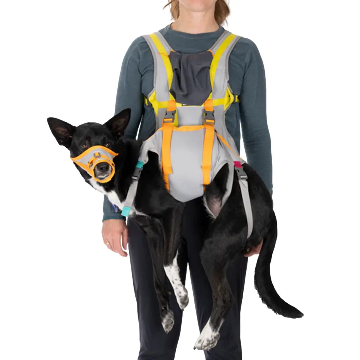 Comparer les prix de Gilet de sauvetage pour chien Ruffwear BackTrak