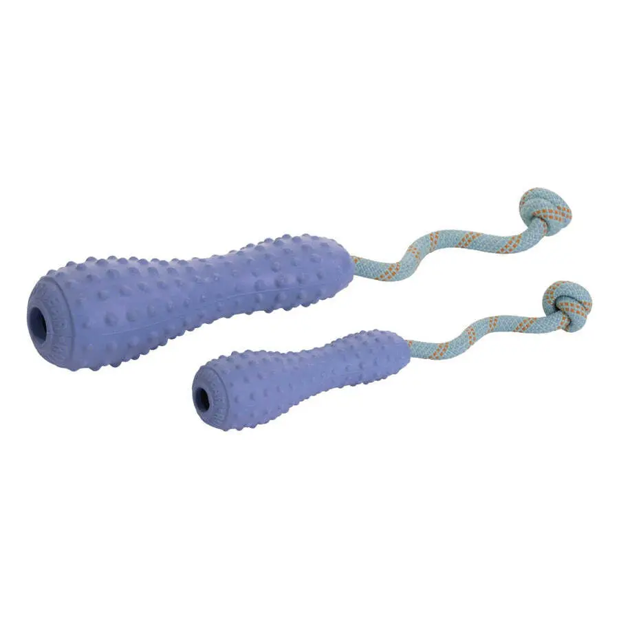 Ruffwear Violet Dog Toy Gourdo
