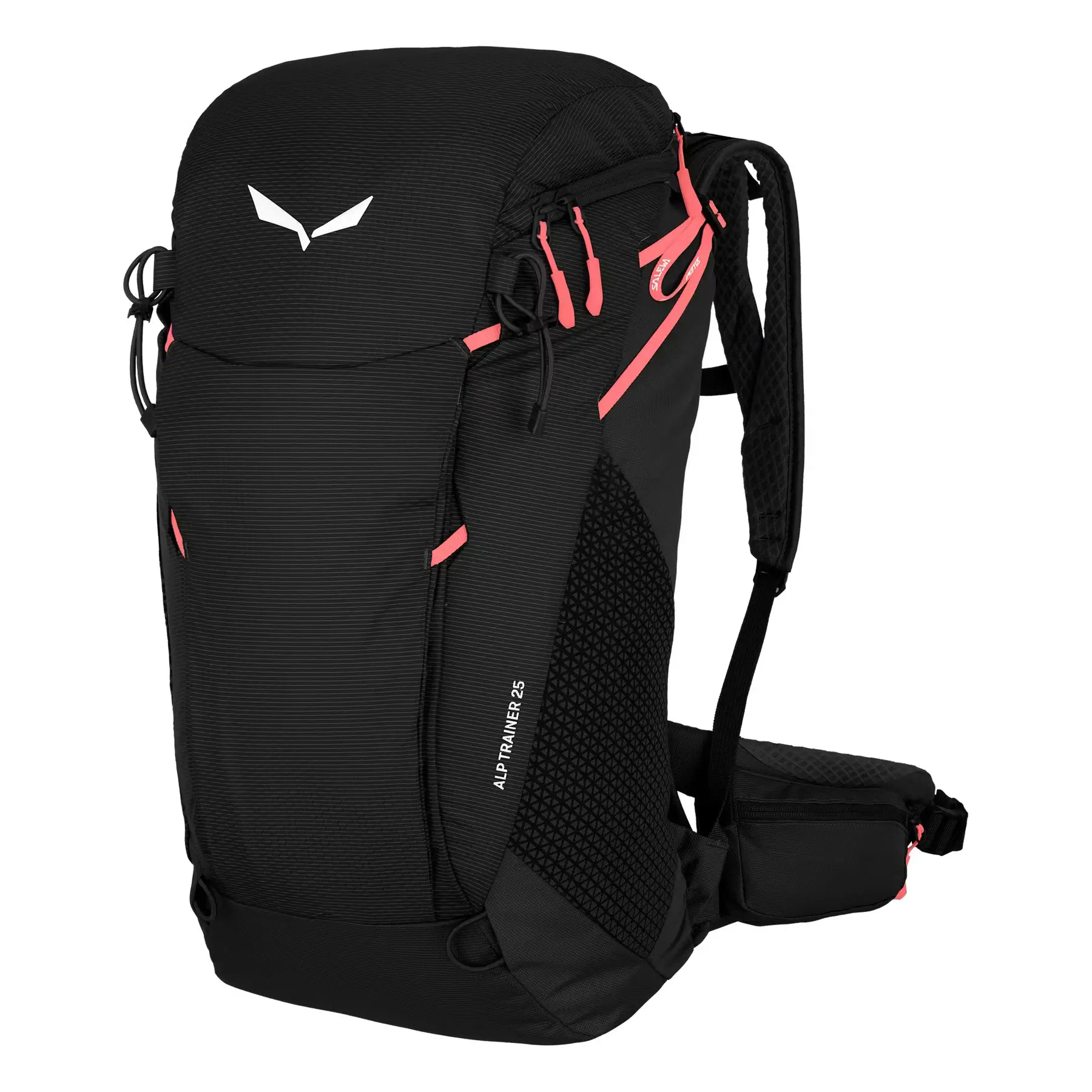 Wandertasche Salewa Trainer 25 L
