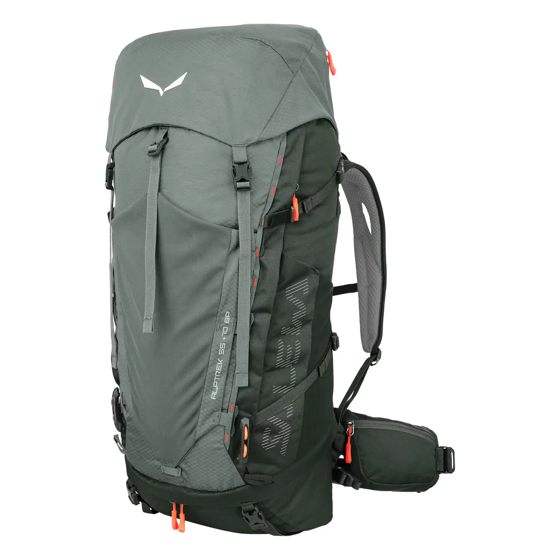Salewa Unisex Vert Hiking Bag 55+10 L