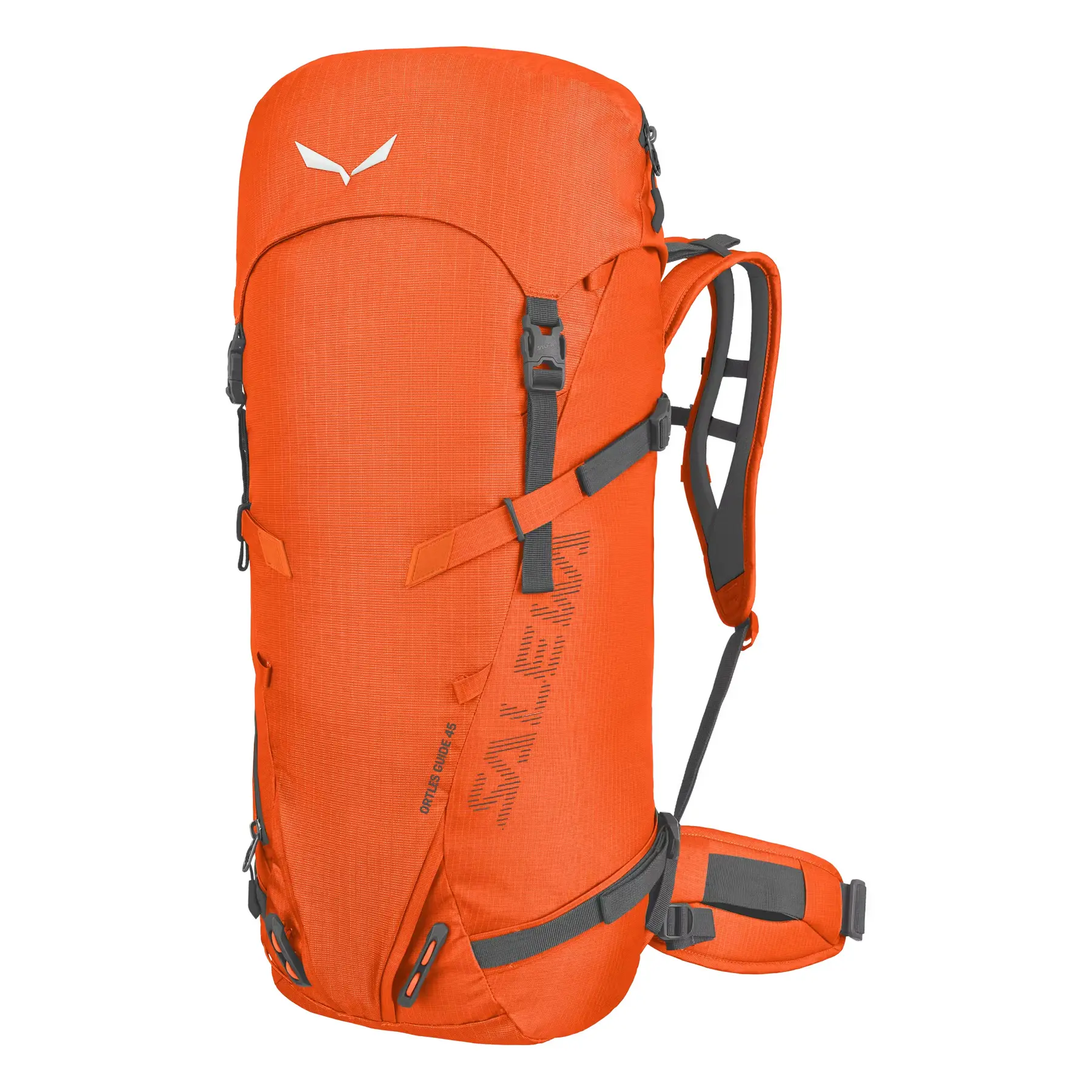 Borsa da trekking Salewa Ortles