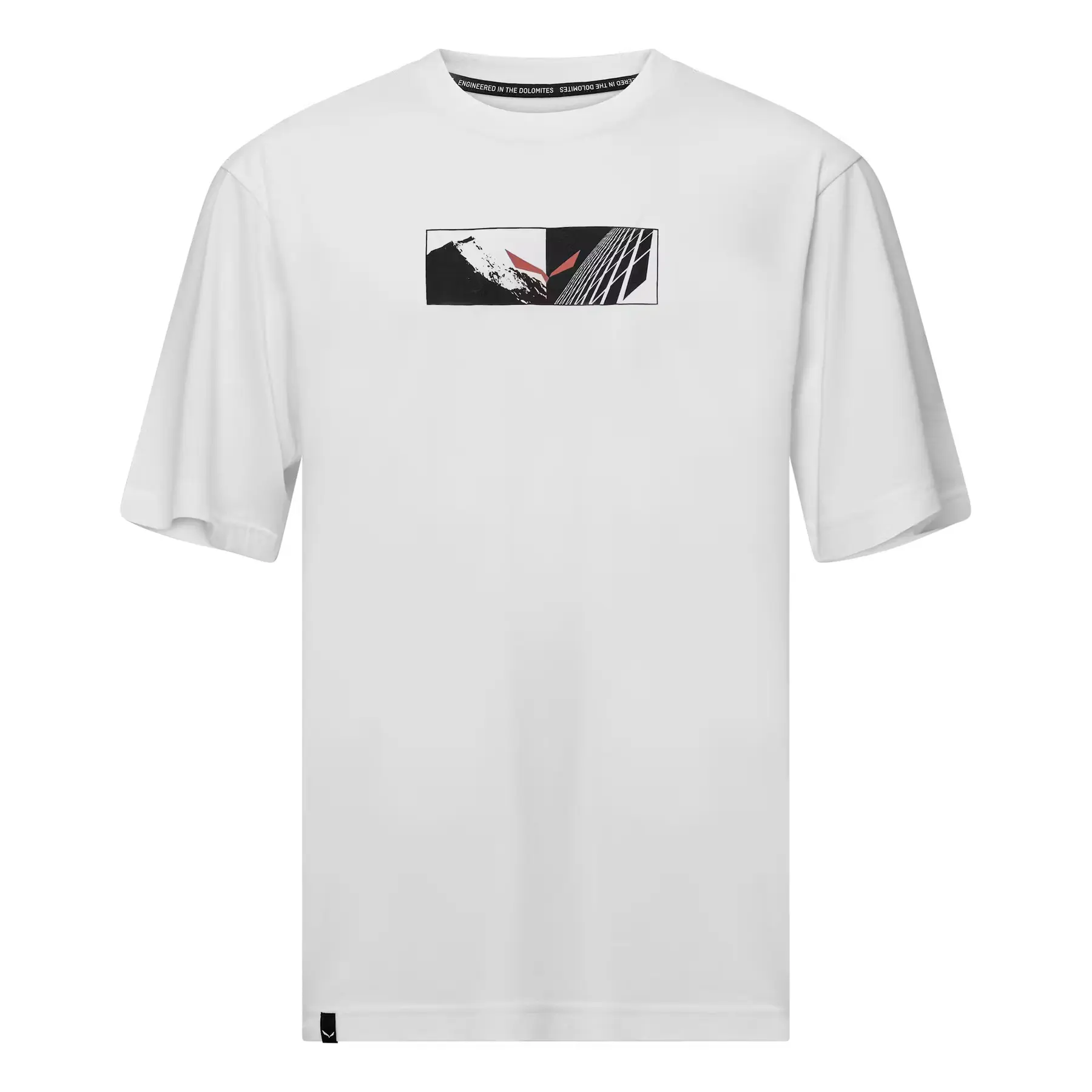 Loose T-shirt Salewa Eagle Hybrid