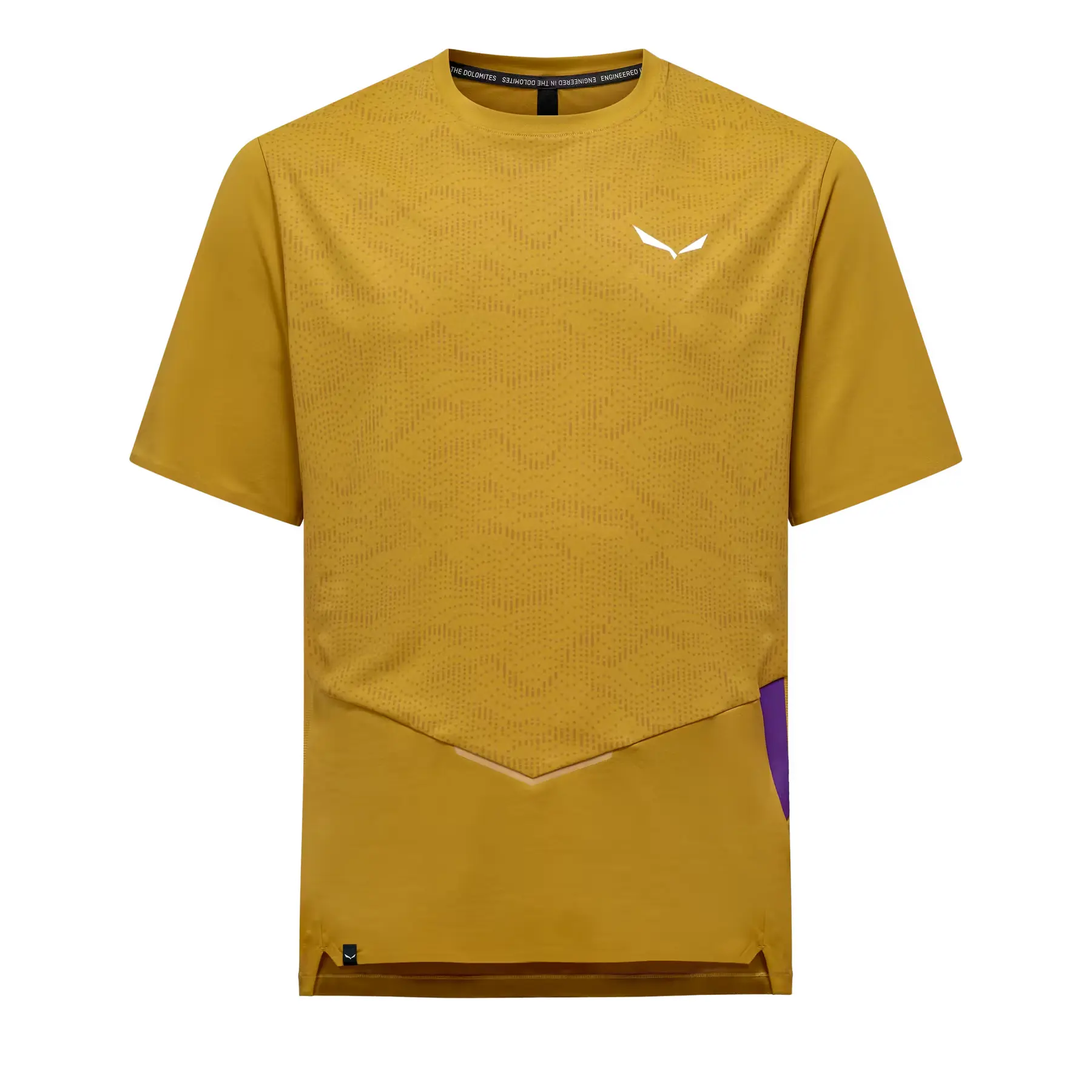 Salewa Men's Vert T-Shirt Pedroc Tech Dry
