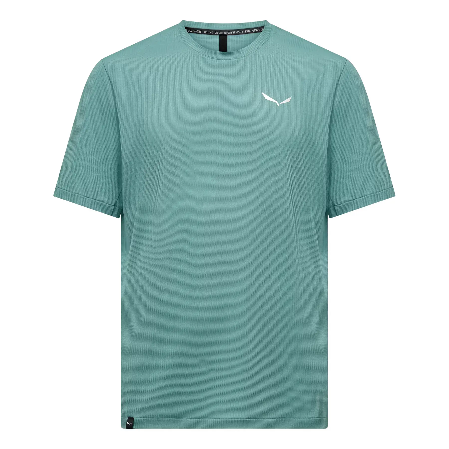 Salewa Men's Bleu T-Shirt Pedroc Dry'ton Light