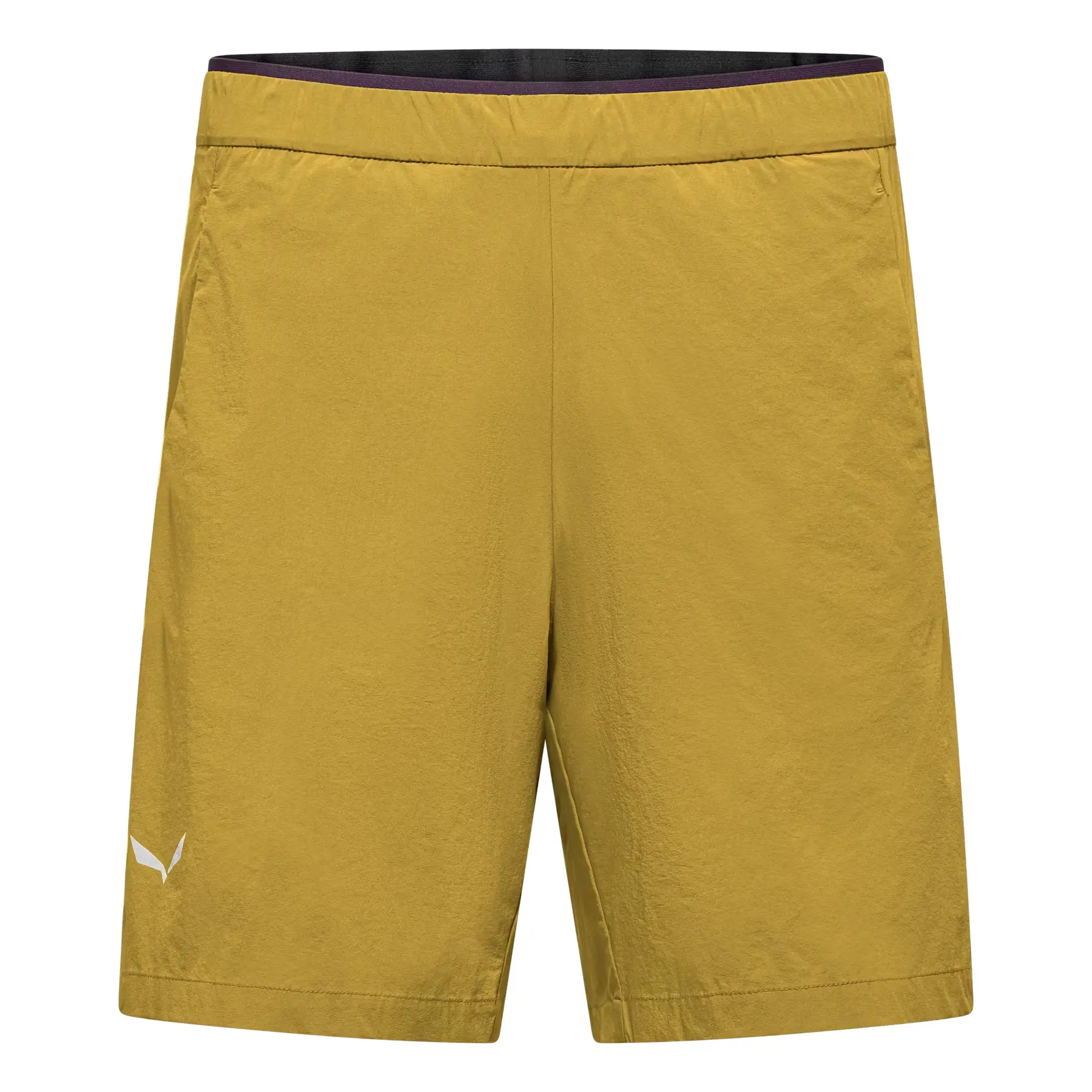 Salewa Men's Vert Hiking Shorts Pedroc Light