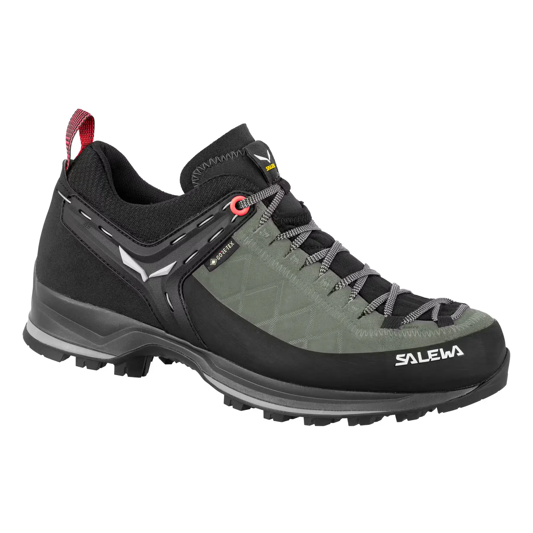 Women's hiking shoes Salewa Mtn Trainer 2 Gtx