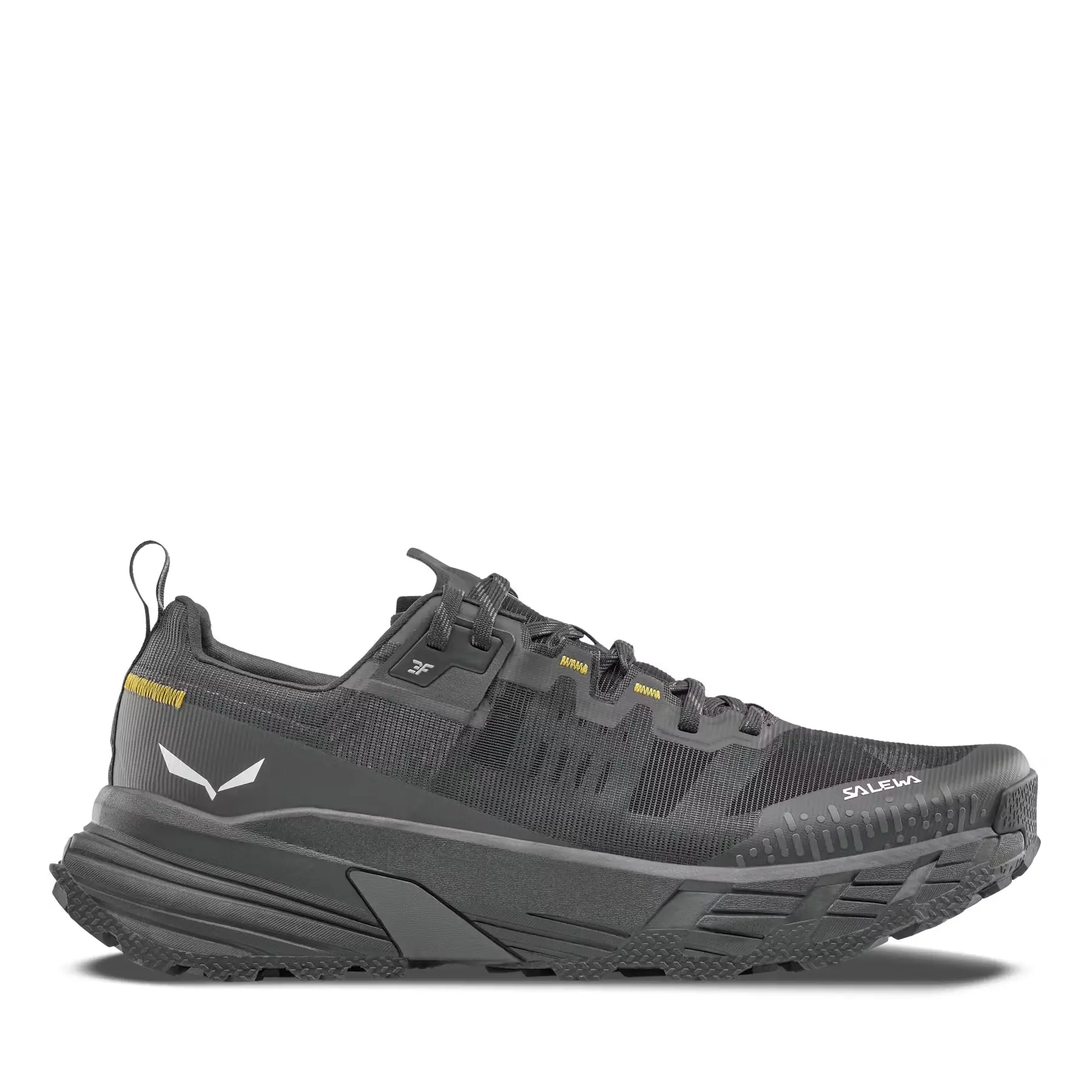 Hiking shoes Salewa Pedroc 2 Mid Ptx