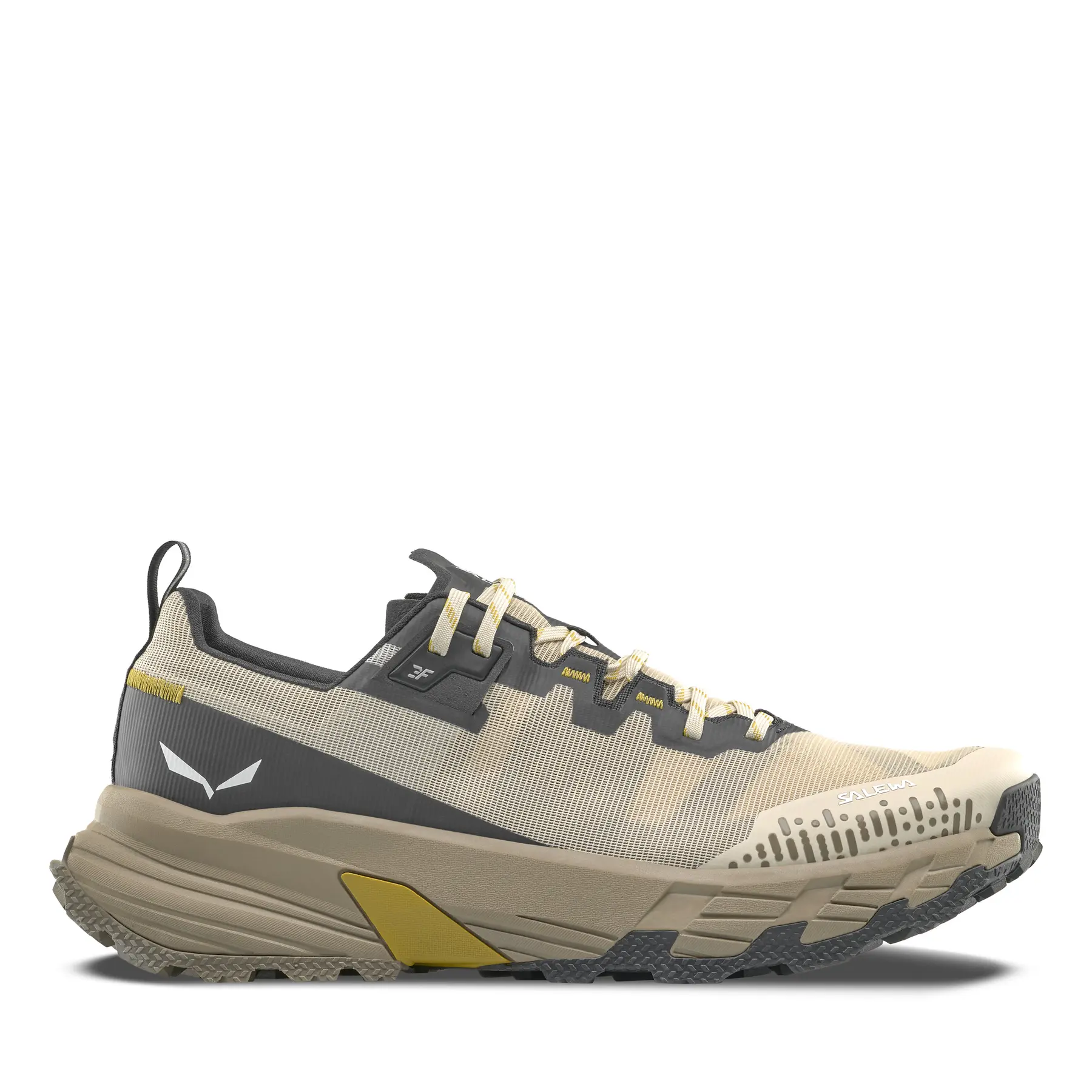 Hiking shoes Salewa Pedroc 2 Max