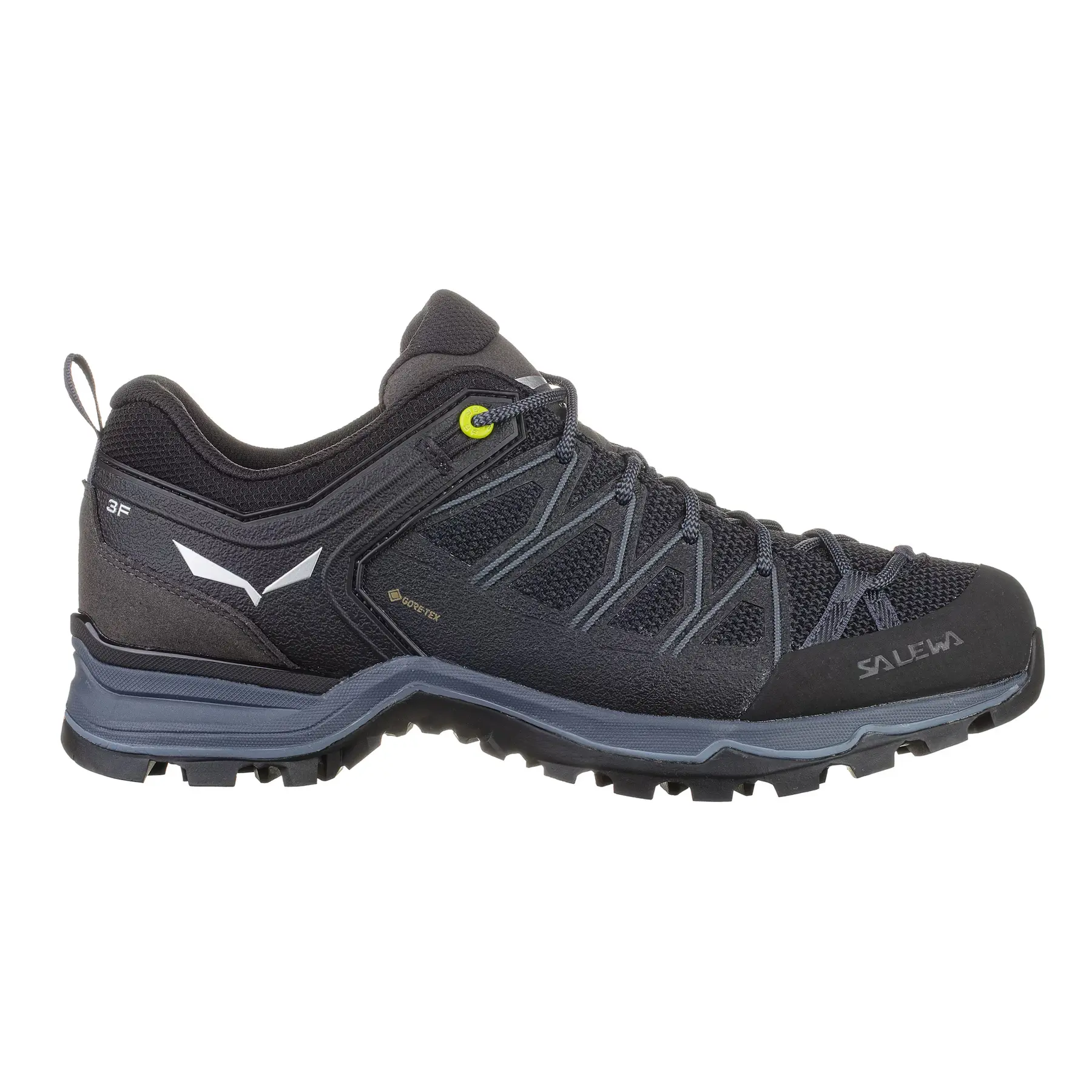 Wanderschuhe Salewa Mtn Trainer Lite Gtx
