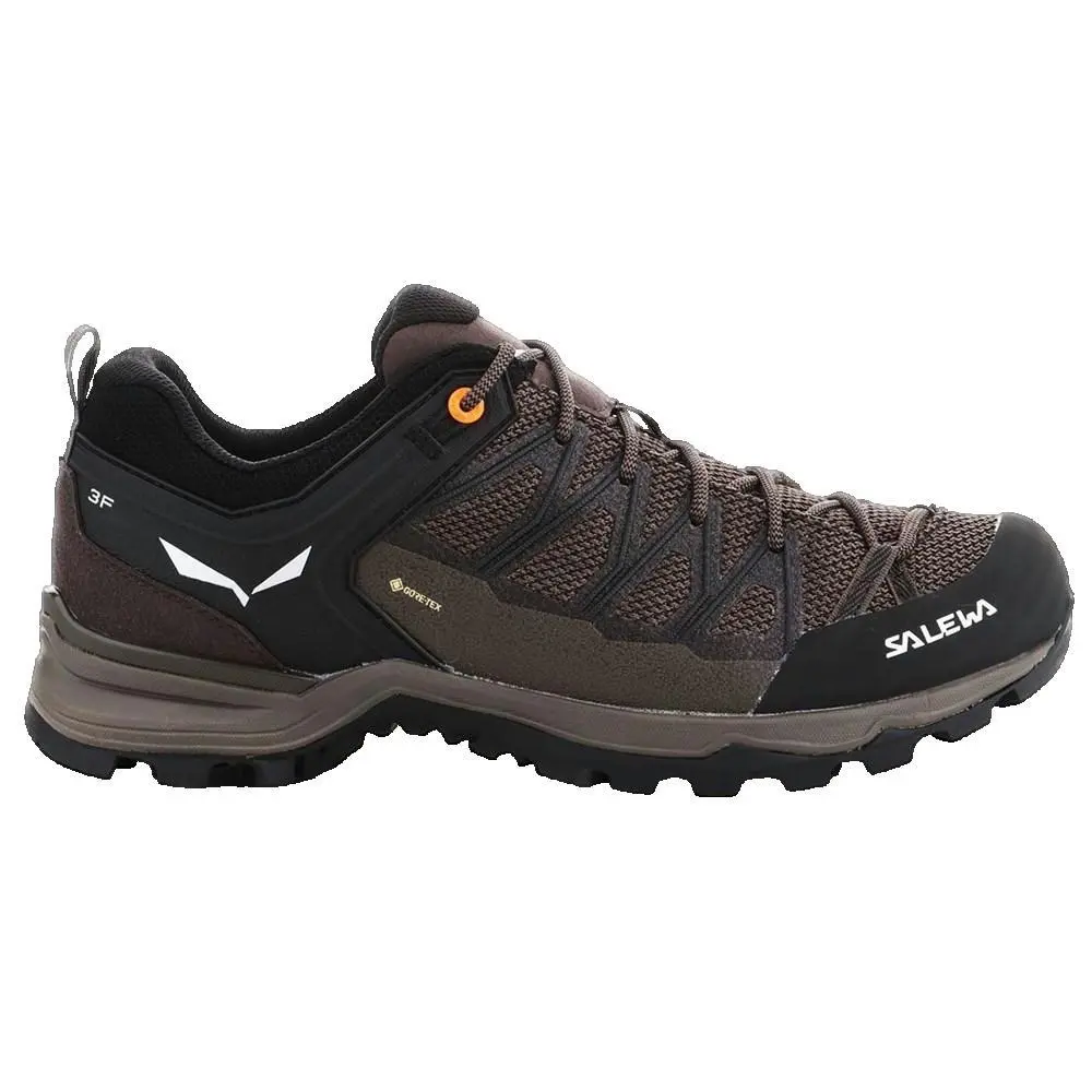Wanderschuhe Salewa Mtn Lite