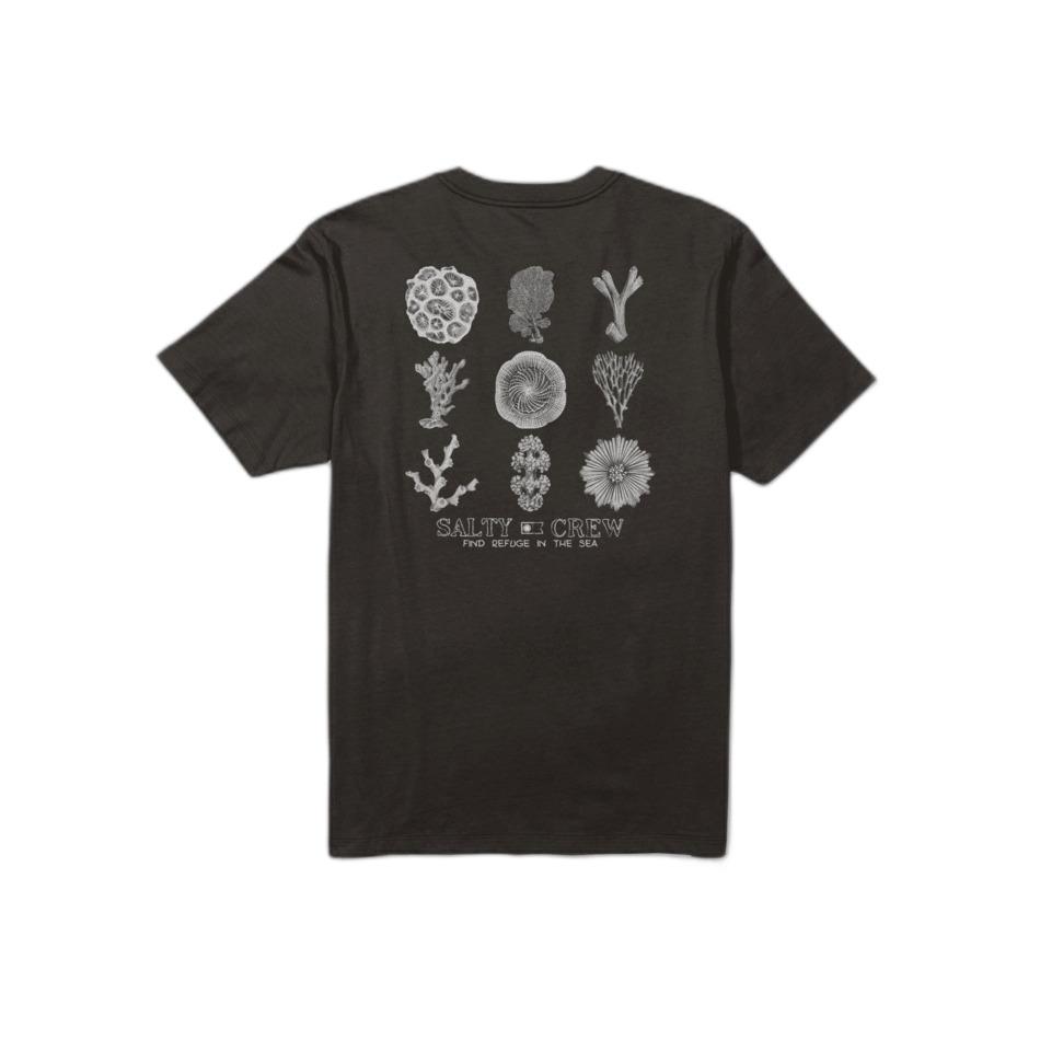 0804046637240 - T-Shirt Coral Head