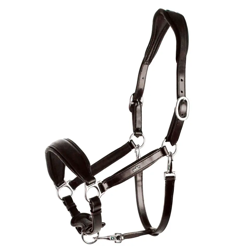 Licol en cuir pour cheval Schockemöehle Fremont