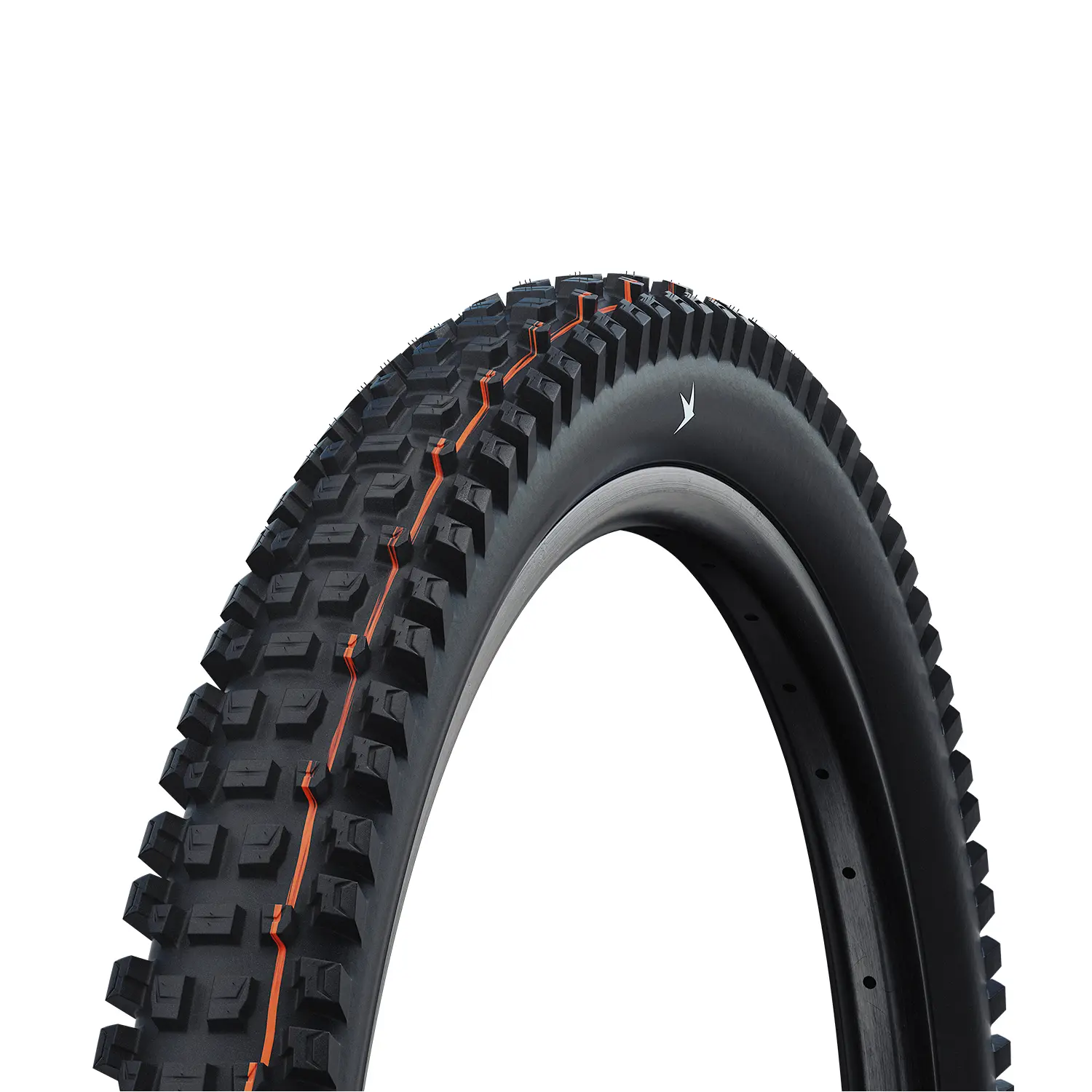 Image of Pneu Schwalbe Albert Trail Pro - TLR - Addix Soft - Radial