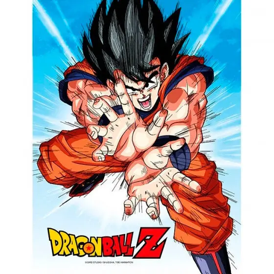 8435450249969 - Poster Dragon Ball Z Goku Kame