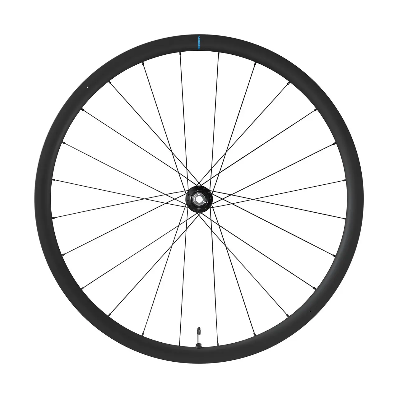 Rad Scheibenbremse center lock Shimano GRX WH-RX880-TL-F12