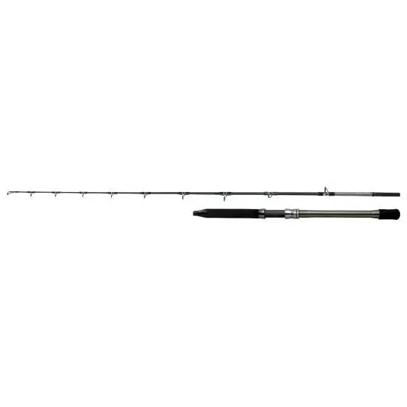 Caña de spinning Shimano Speedmaster AX Deep 500-1000g