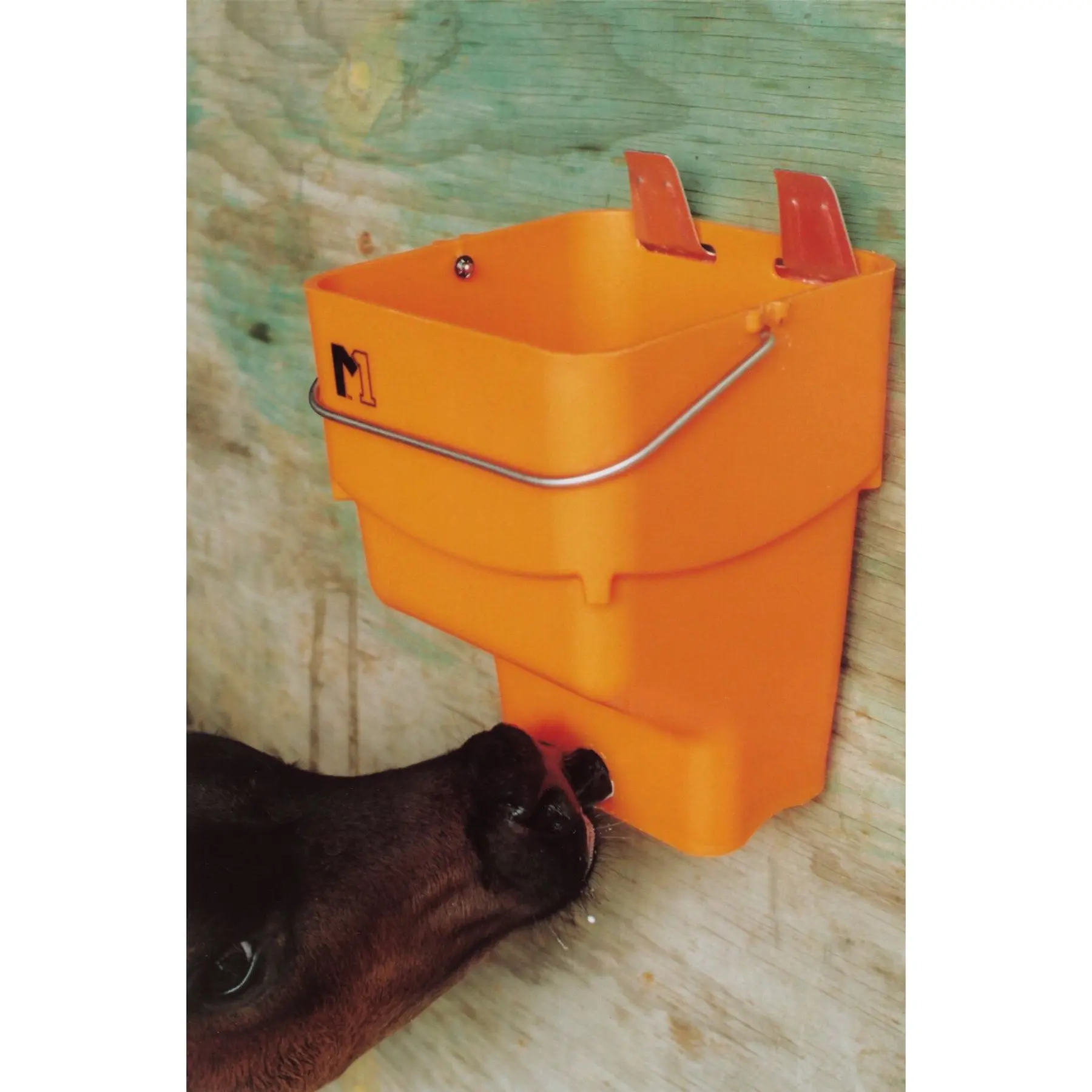 Comparer les prix de Seau biberon veau Shoof M1