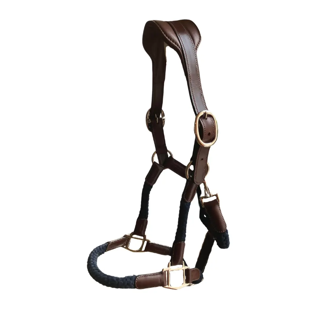 Meilleurs prix pour Rênes pour cheval en caoutchouc Cavaletti