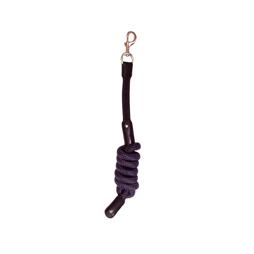 Longe équitation Silver Crown Paracord