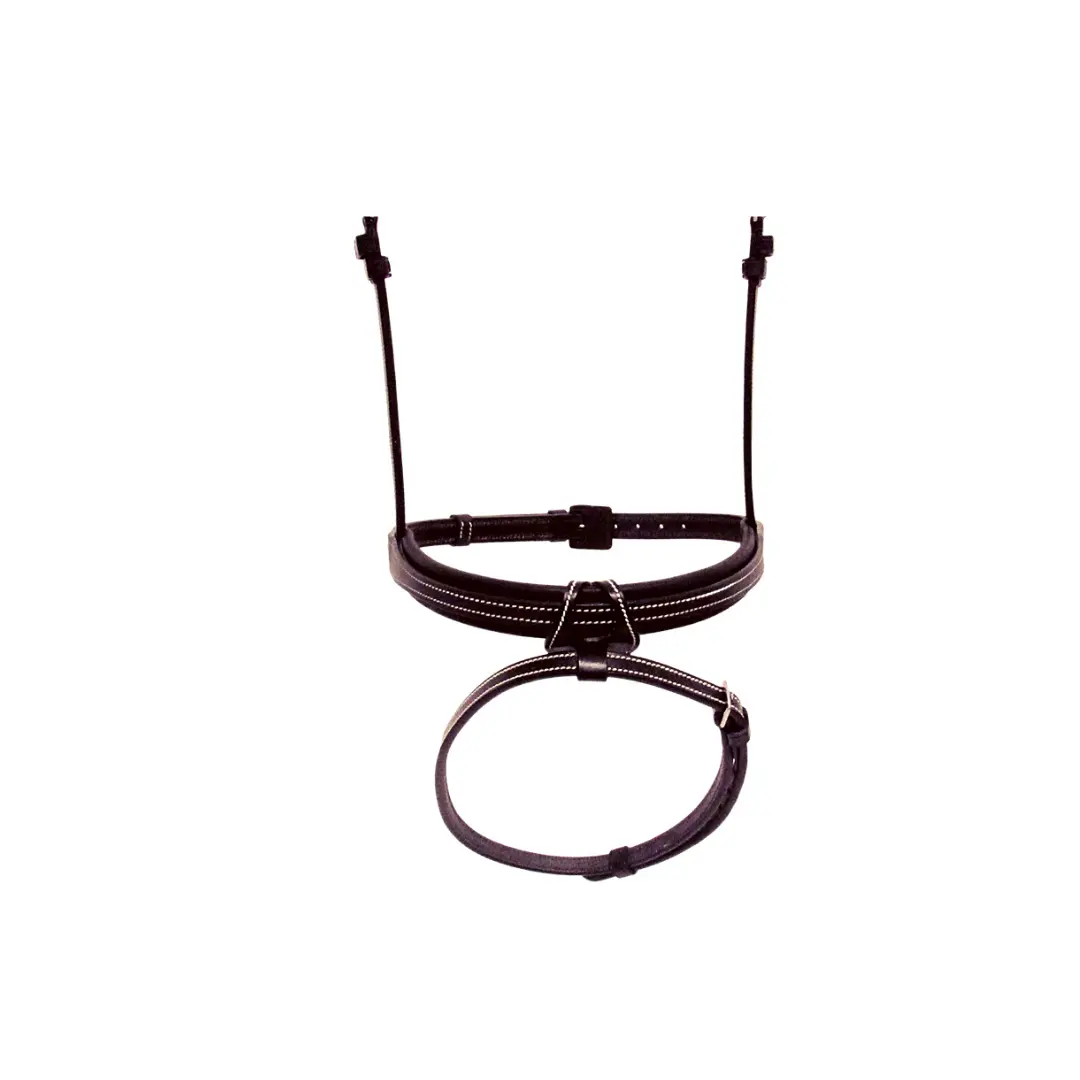 Muserolle cheval Silver Crown Flash